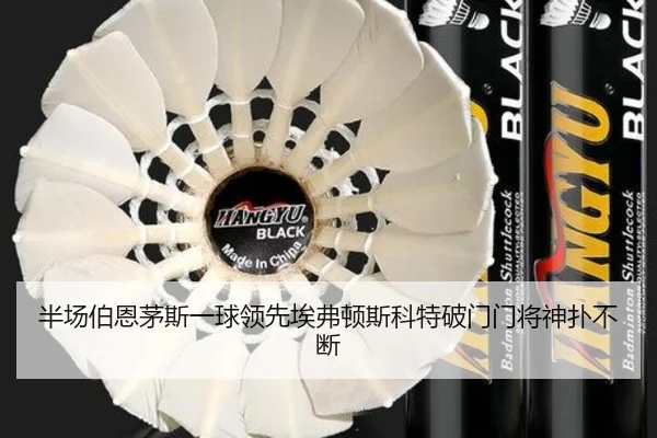 半场伯恩茅斯一球领先埃弗顿斯科特破门门将神扑不断